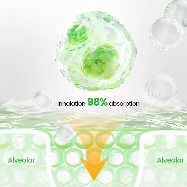 Cavebit® Pulmovia Quercetin Lung Detox Inhaler (A)